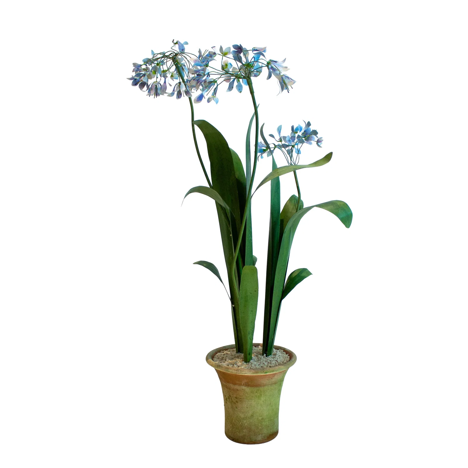 Image of Handmade Metal Agapanthus Potted Flower