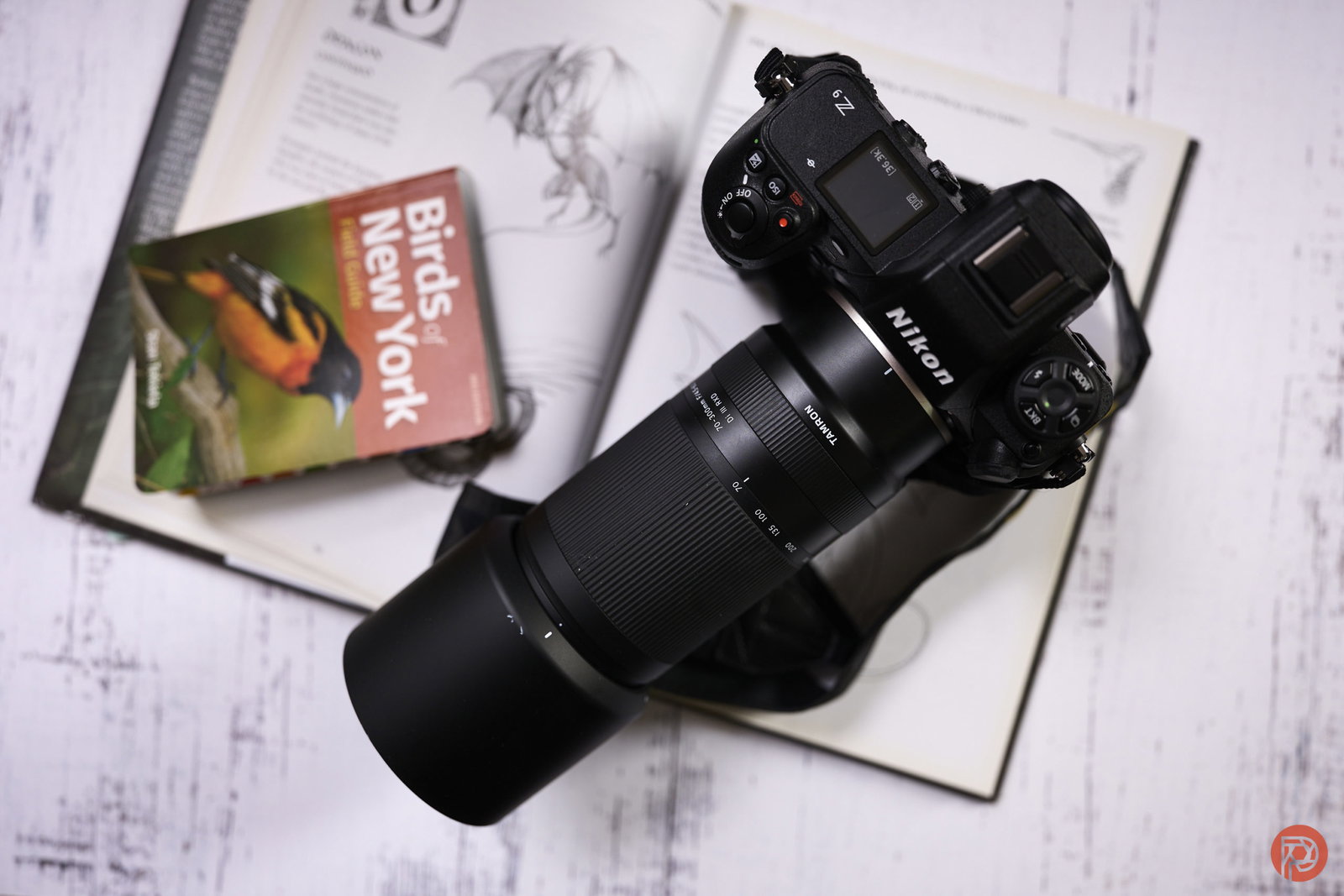 The Best Third-Party Lenses for Nikon Portrait Photographers Under $400