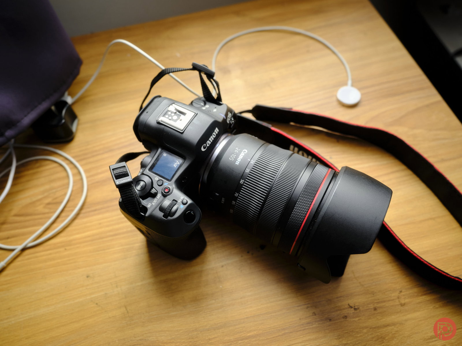The Best Canon Camera Kit For Bird Photography