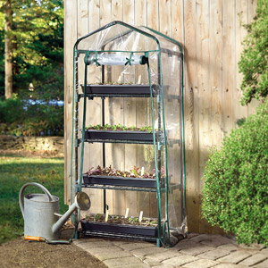 Mini Greenhouse