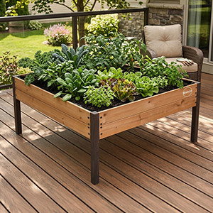 Raised Garden Beds