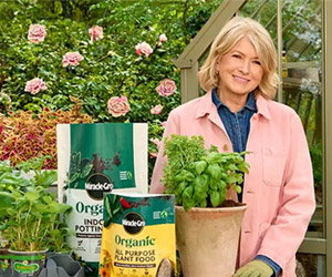 Martha Stewart
