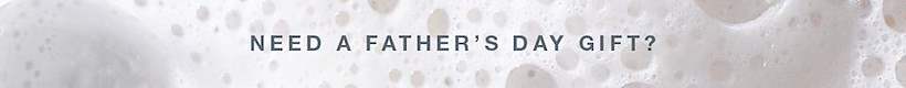 need a father's day gift