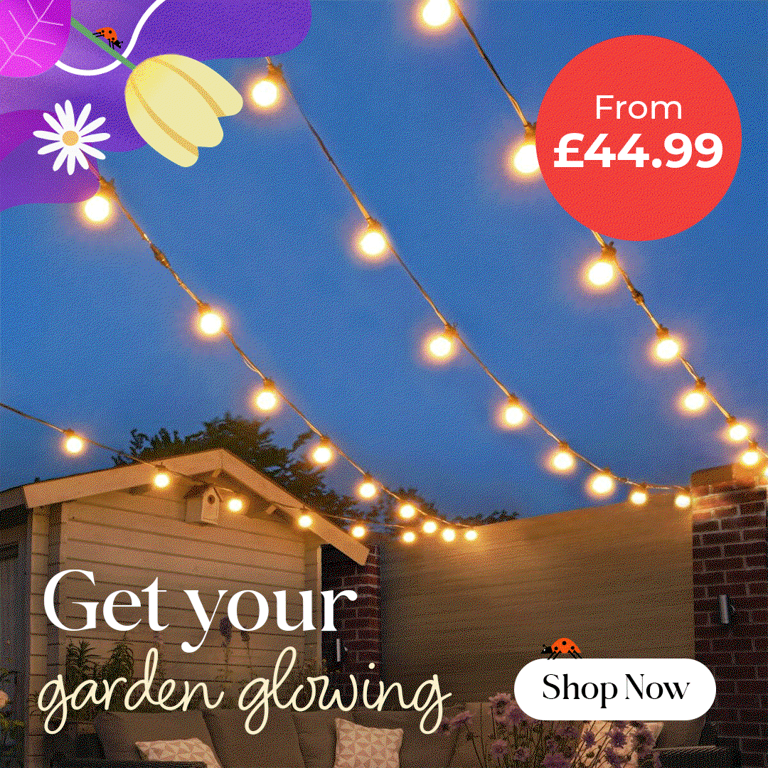 Shop Solar Lights
