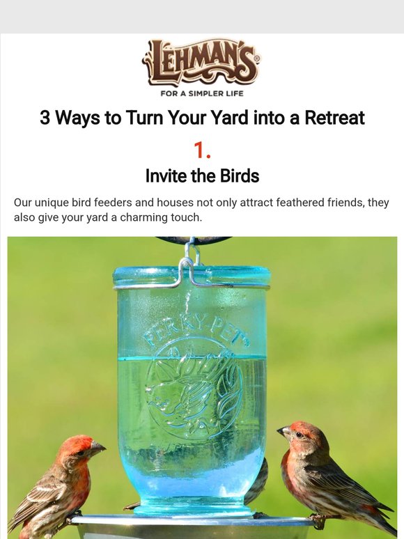 3 Ways to Turn Your Yard into a Retreat 🐦