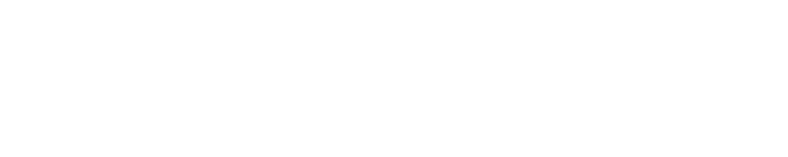 custom_logo
