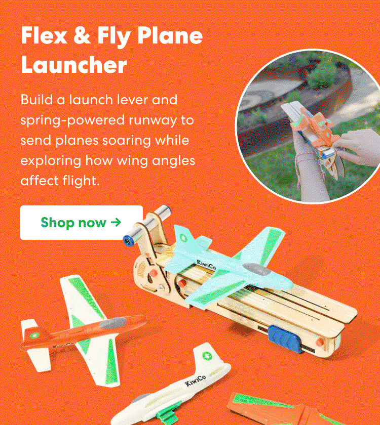 Flex & Fly Plane Launcher: build a launch lever and spring-powered runway to send planes soaring while exploring how wing angles affect flight.