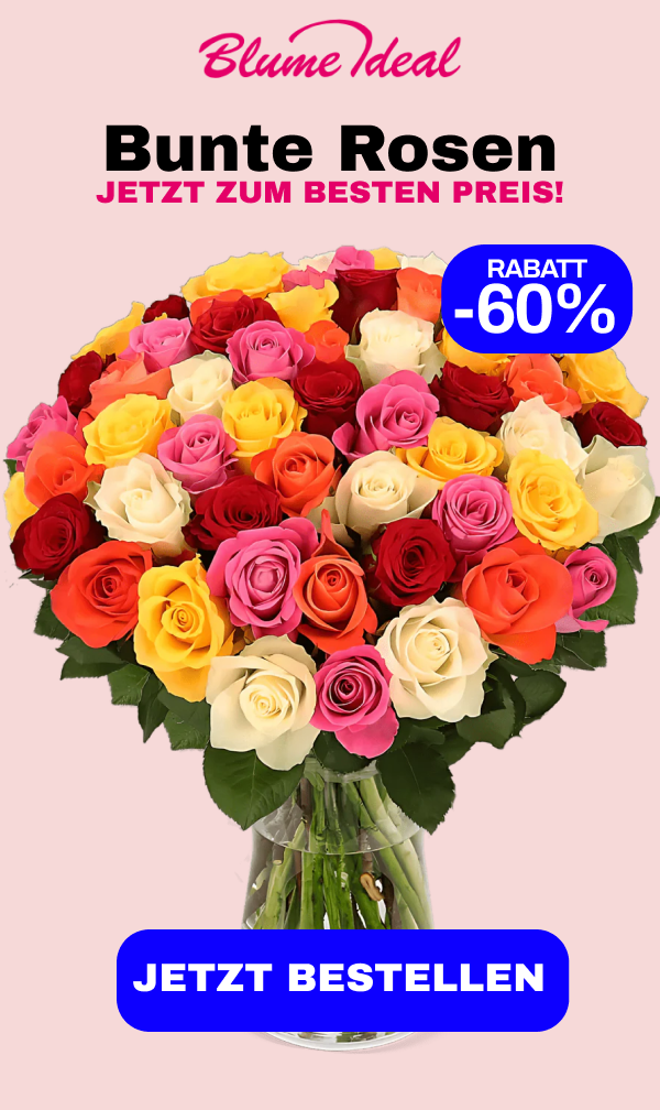 Bunte Rosen