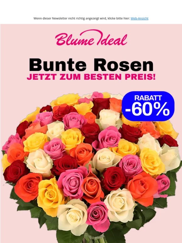-60% ⚠️ Rosen zum KRACHERPREIS