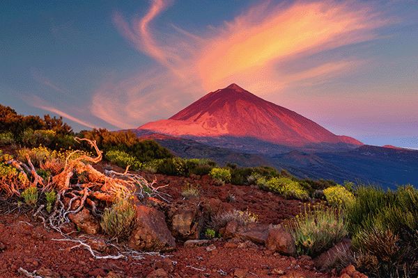 Kanaren & Madeira ab Teneriffa