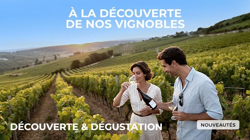 Route des vins