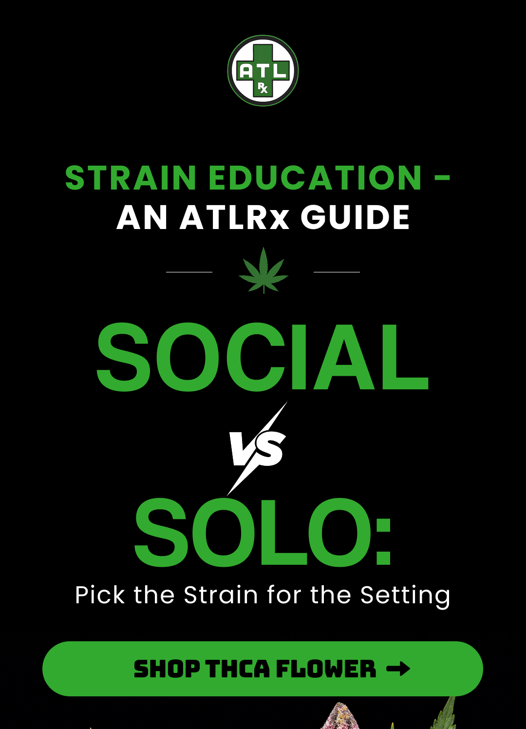 Social vs. Solo - Shop THCa Flower