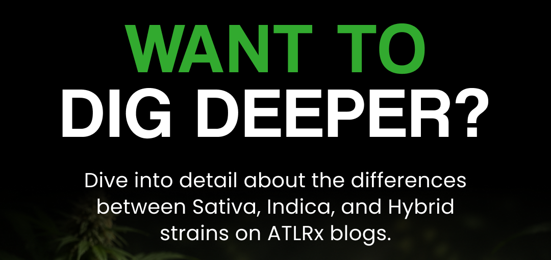 Want to dig deeper?