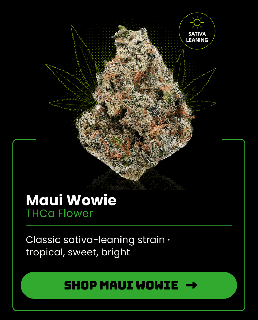 Maui Wowie THCa Flower