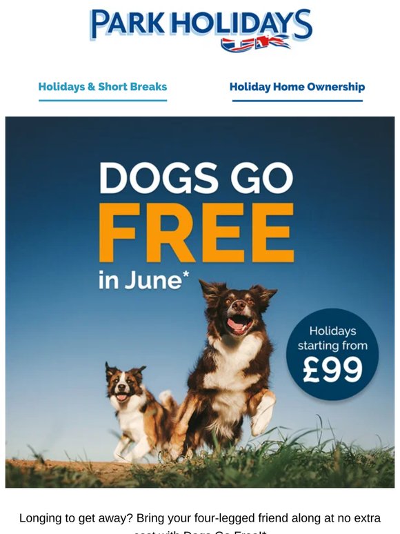 Dogs Go Free now on!