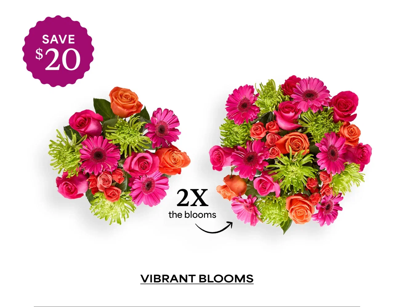 Vibrant Blooms