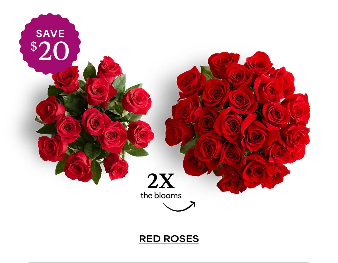 Red Roses