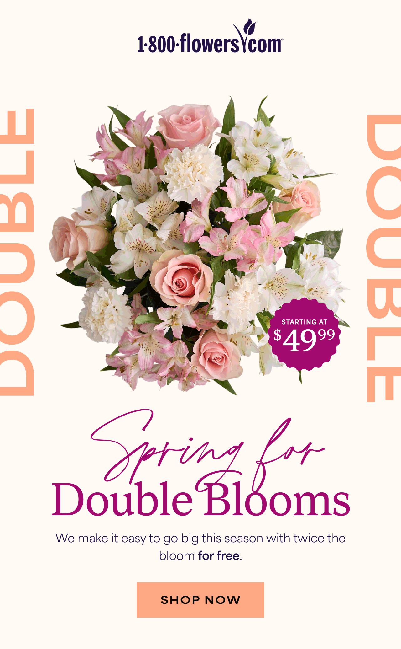 Double Blooms | We make it easy to go big this season with twice the bloom for free