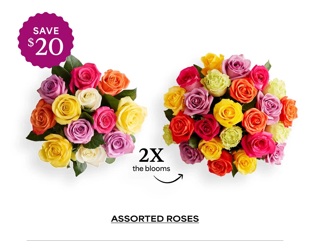 Assorted Roses
