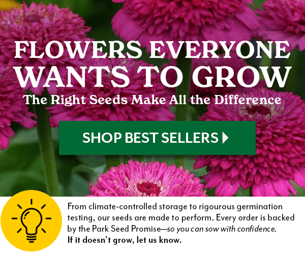 FLOWERS EVERYONE WANTS TO GROW - SHOP BEST SELLERS