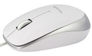 Image Article