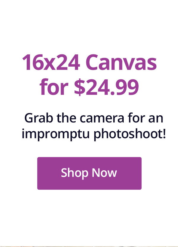 16x24 Canvas for $24.99