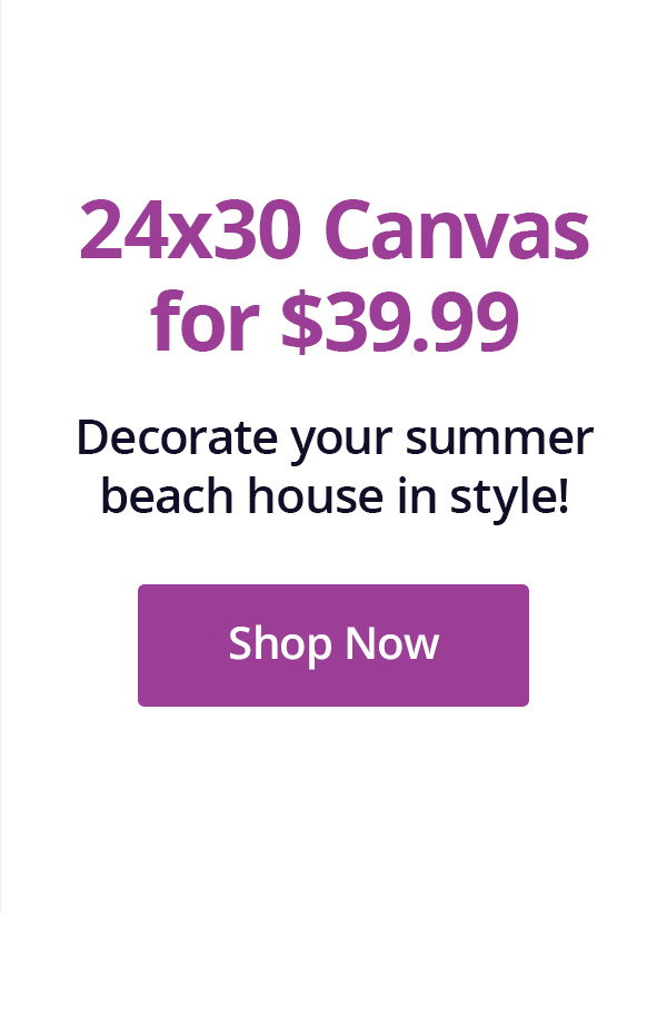 Decorate your summer beach house in style! Shop Now