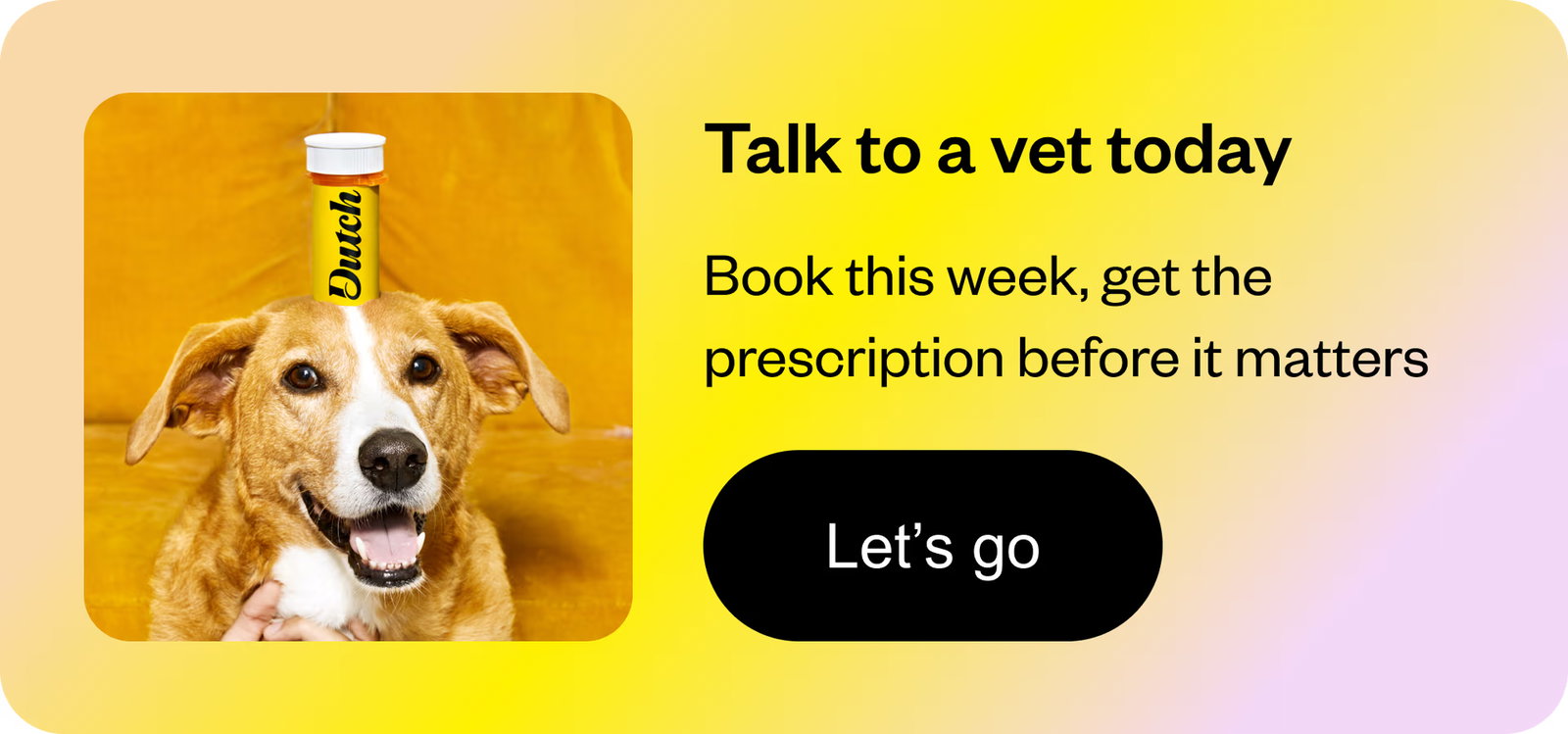 Talk to a vet today — book this week, get the prescription before it matters