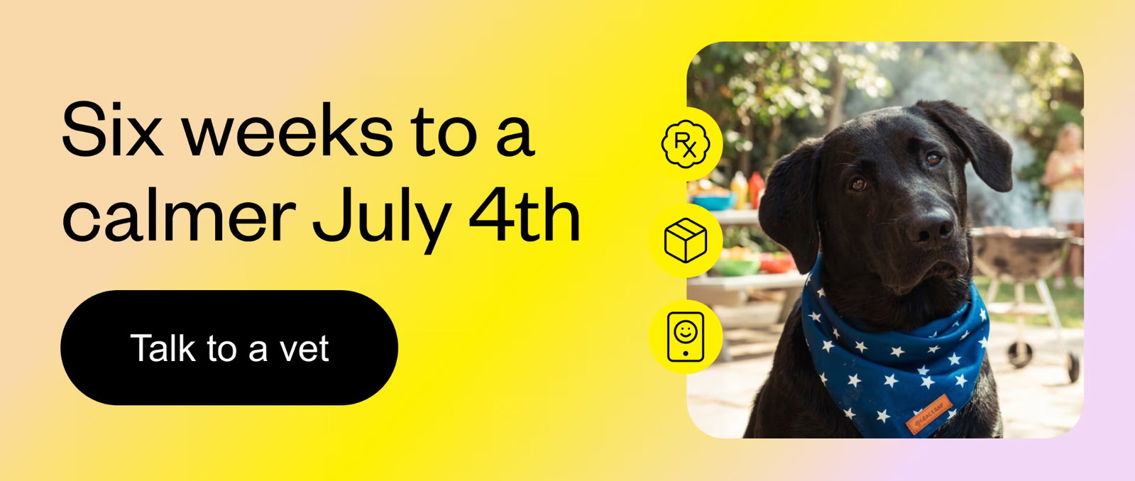 Six weeks to a calmer July 4th — Talk to a vet