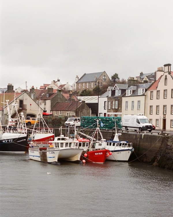 Le Chameau
