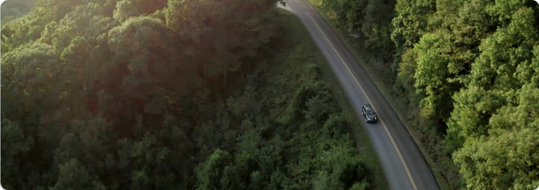 Need wheels? Earn points and save up to 35% on Avis or Budget rentals