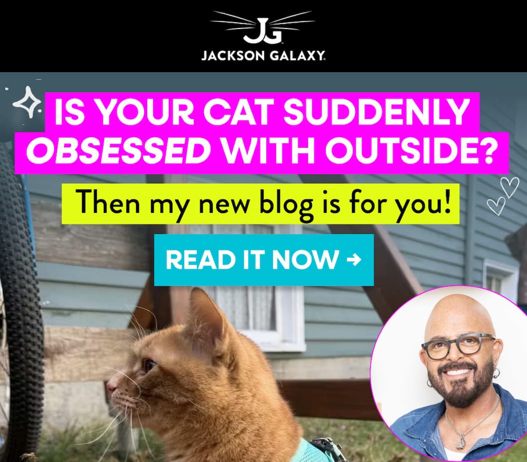 Check out my new blog about Outdoor Curiousity