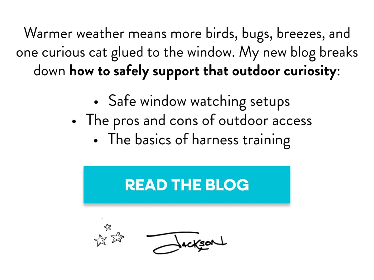 Check out my new blog about Outdoor Curiousity