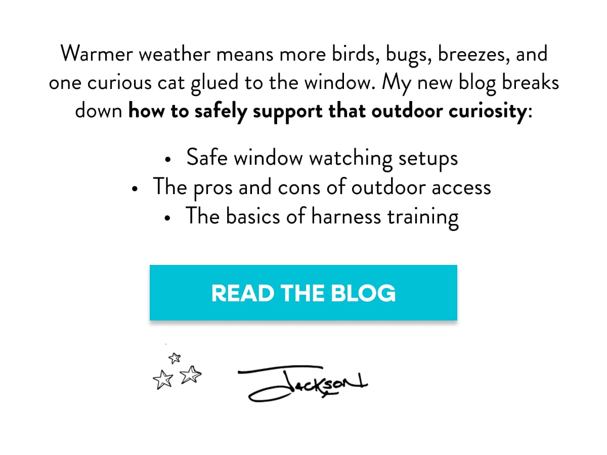 Check out my new blog about Outdoor Curiousity