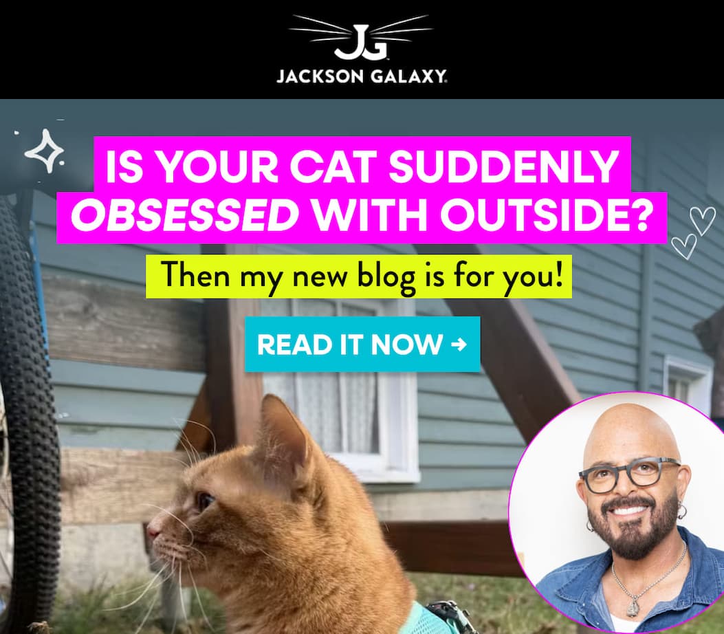 Check out my new blog about Outdoor Curiousity