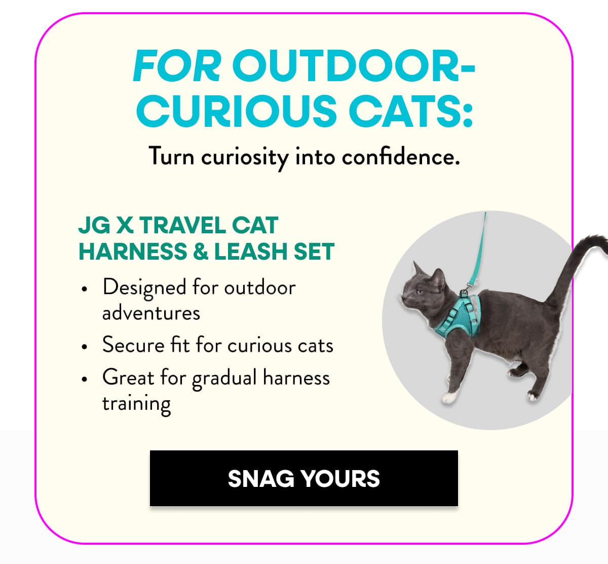 Grab your travel harness