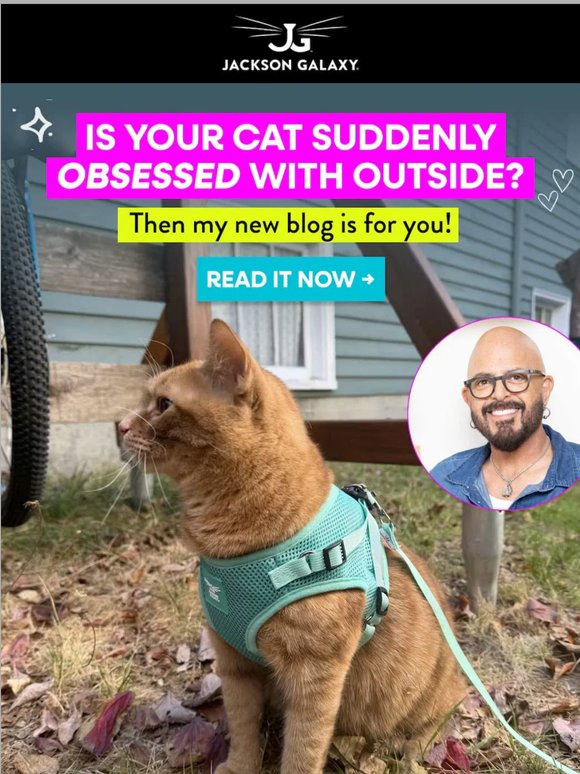 Your Cat Wants Outside 👀