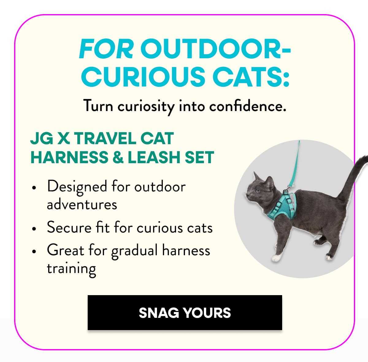 Grab your travel harness
