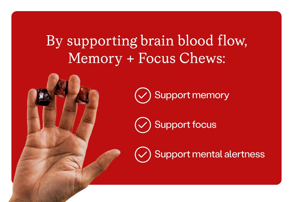 By supporting brain blood flow, Memory + Focus Chews: Support memory Support focus Support mental alertness