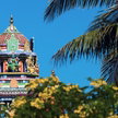 Nadi