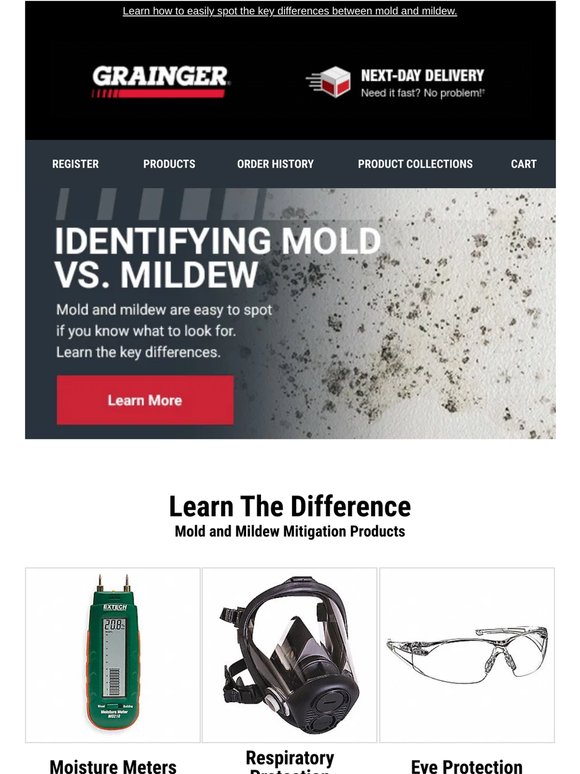 Identifying Mold vs. Mildew 🔎