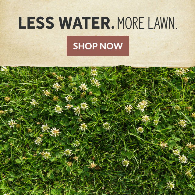 Less Water. More Lawn.
