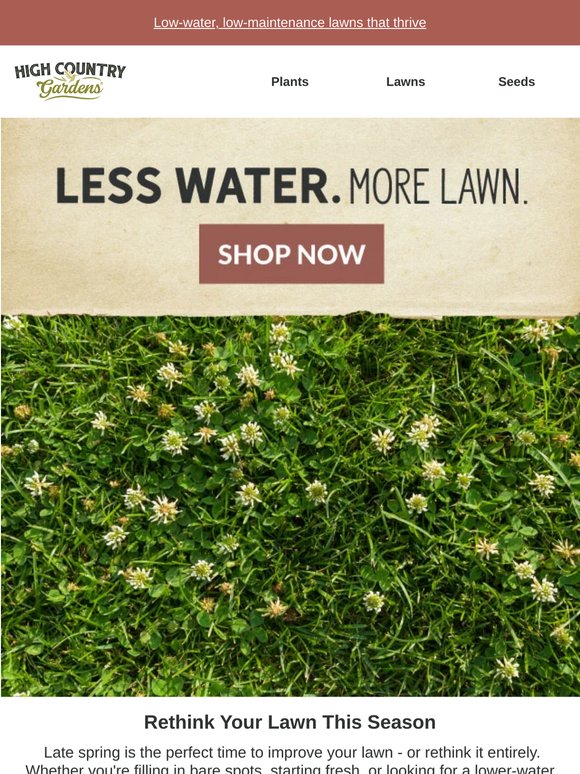 A Better Lawn Starts Here
