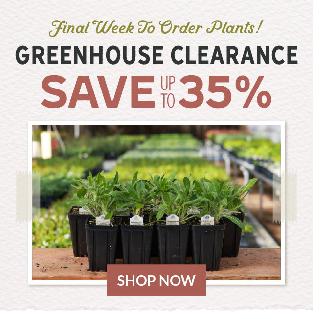 Final week to order plants for spring delivery