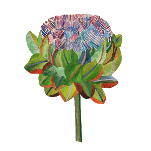 Artichoke