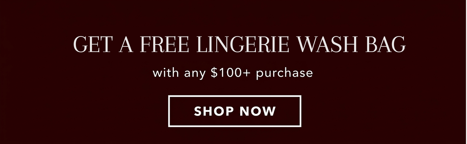 Free Lingerie Wash Bag With Any $100+ Purchase [Shop Now]