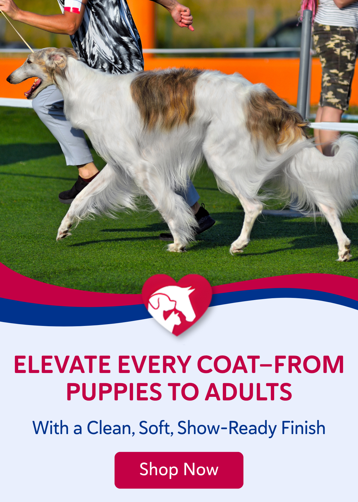 Elevate every coat—from puppies to adults—with a clean, soft, show-ready finish