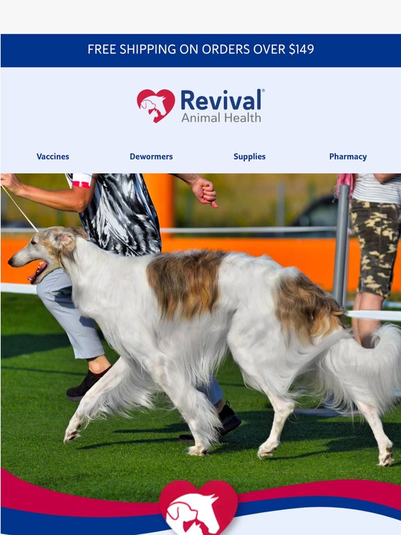 Show-Ready Coats for Dogs & Puppies