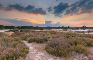 Aanbiedingen in de natuur vanaf €49,50