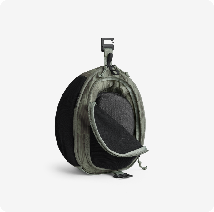The Crown Case